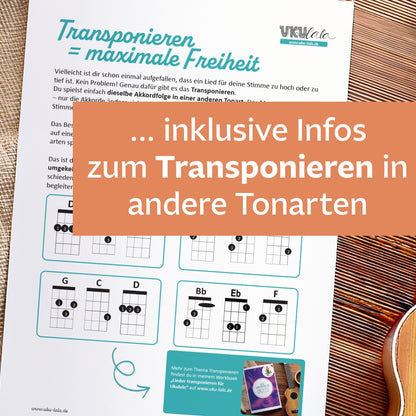Ukulele Minikurs "3 Akkorde - unzählige Songs"