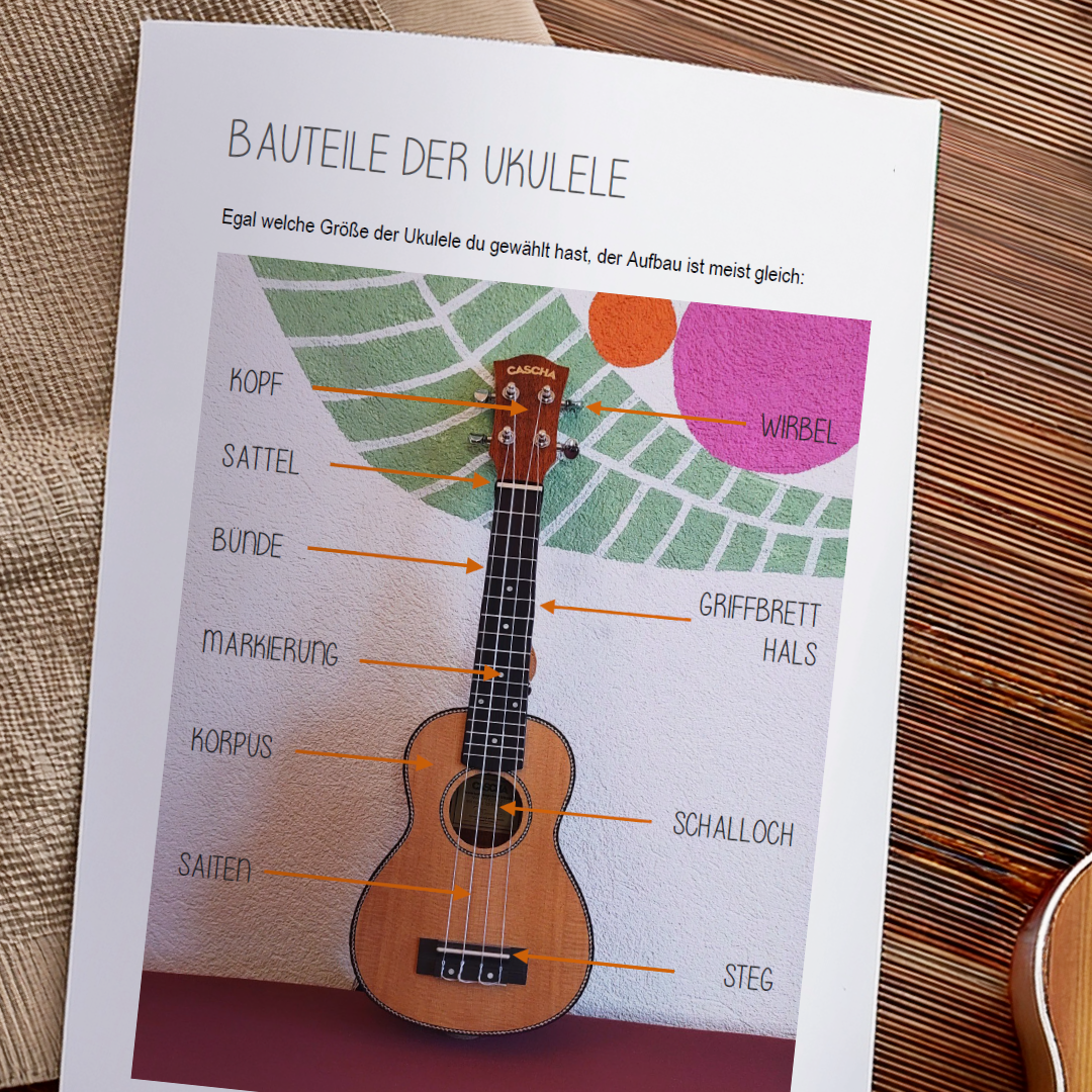 Ukulele BASICS - Dein Workbook für den perfekten Start (PDF)