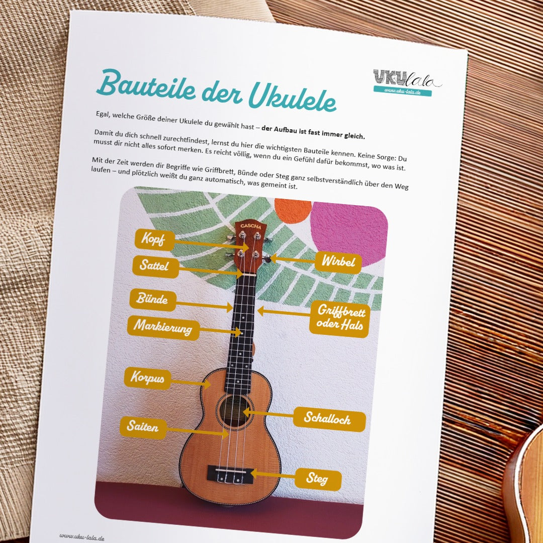 Ukulele BASICS - Your Workbook for the Perfect Start (PDF)