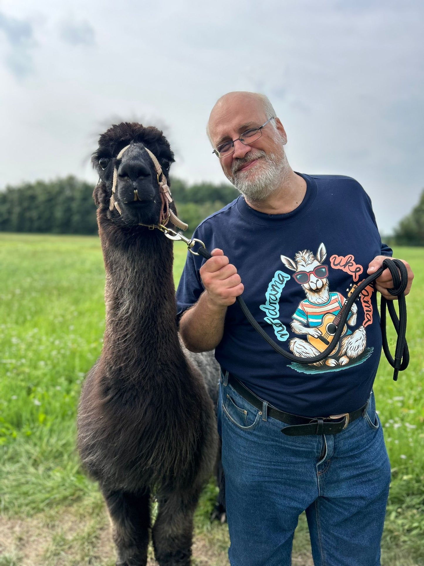 Ukulele Damen T-Shirt - "No drama - Uke Lama" - CURVY VIBES